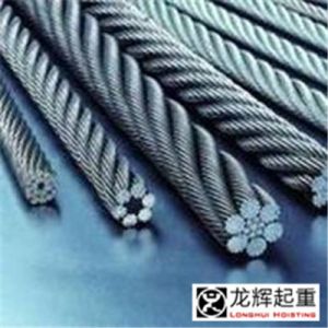 ���˱��o���ؙCе�g�P�|�K�����_�������Ď����