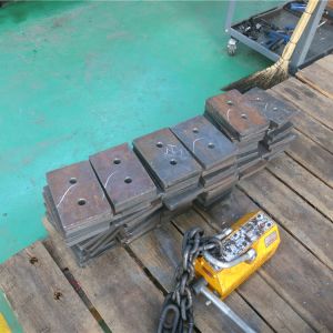 2018111102 ���������^