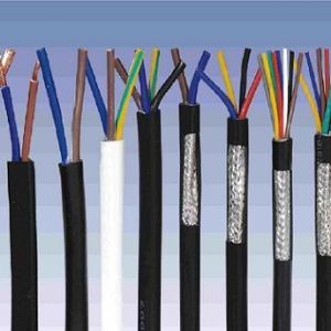 ������|����|���N��е�һ�N��ʲô�ǿ�����|��